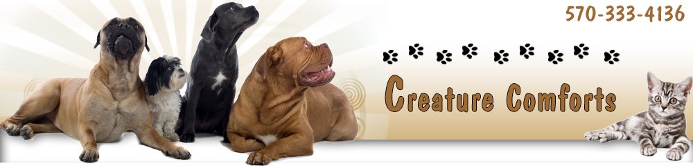 Pet Walking Pet Care Pet Sitter Moreland Pa Creature Comforts