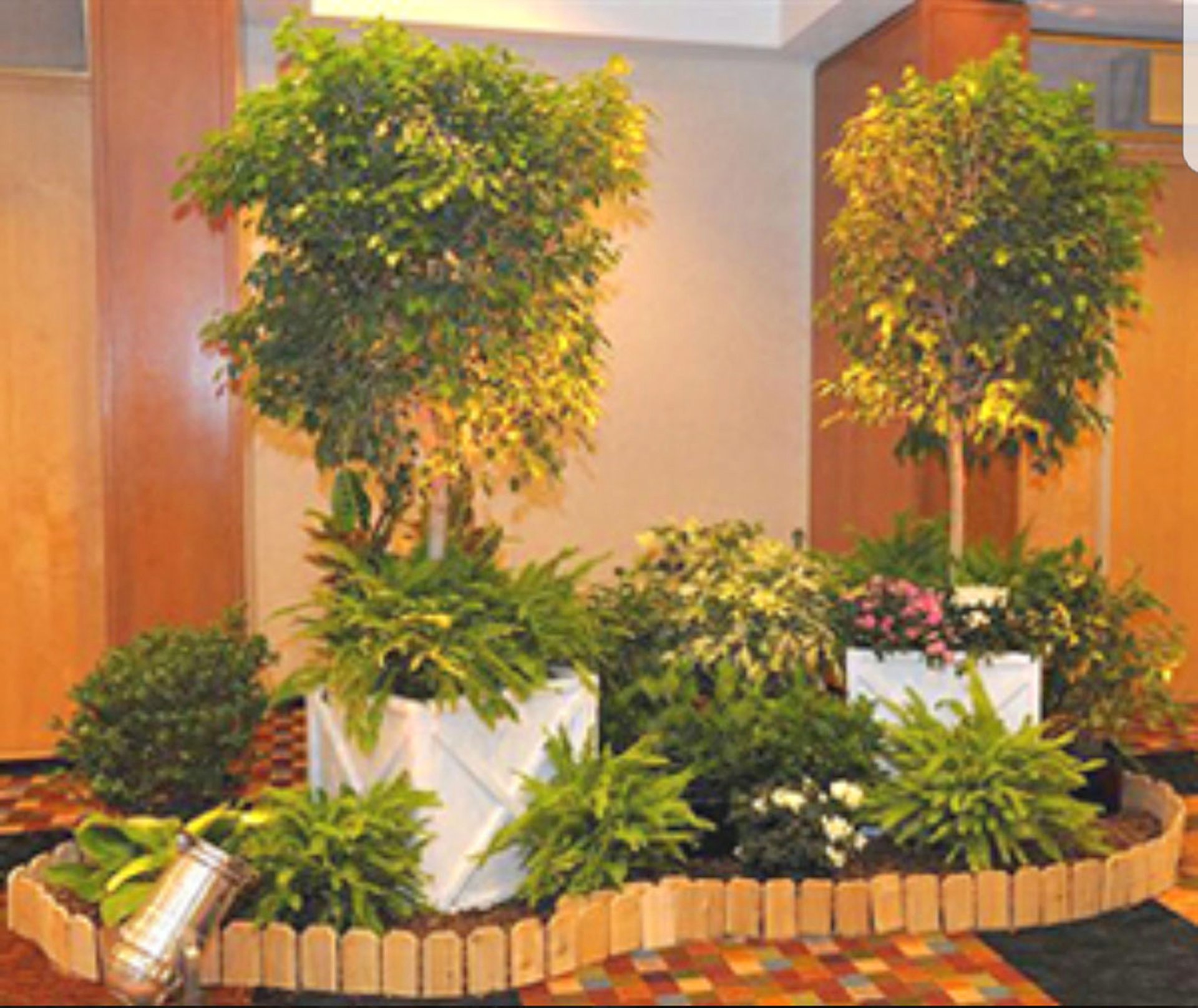 About Fancy Plants Savannah, GA Tropical Plants