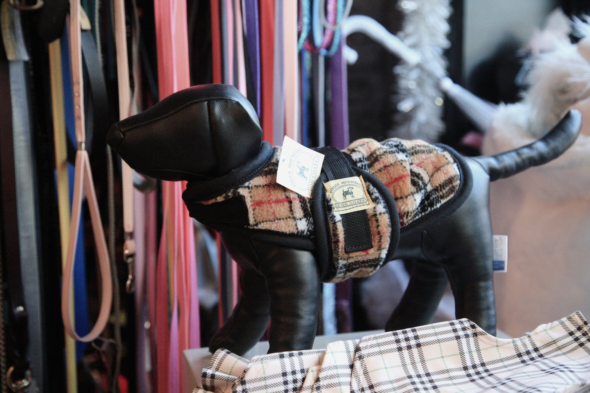 Pet Store Next Door Photo Gallery Glen Head, NY