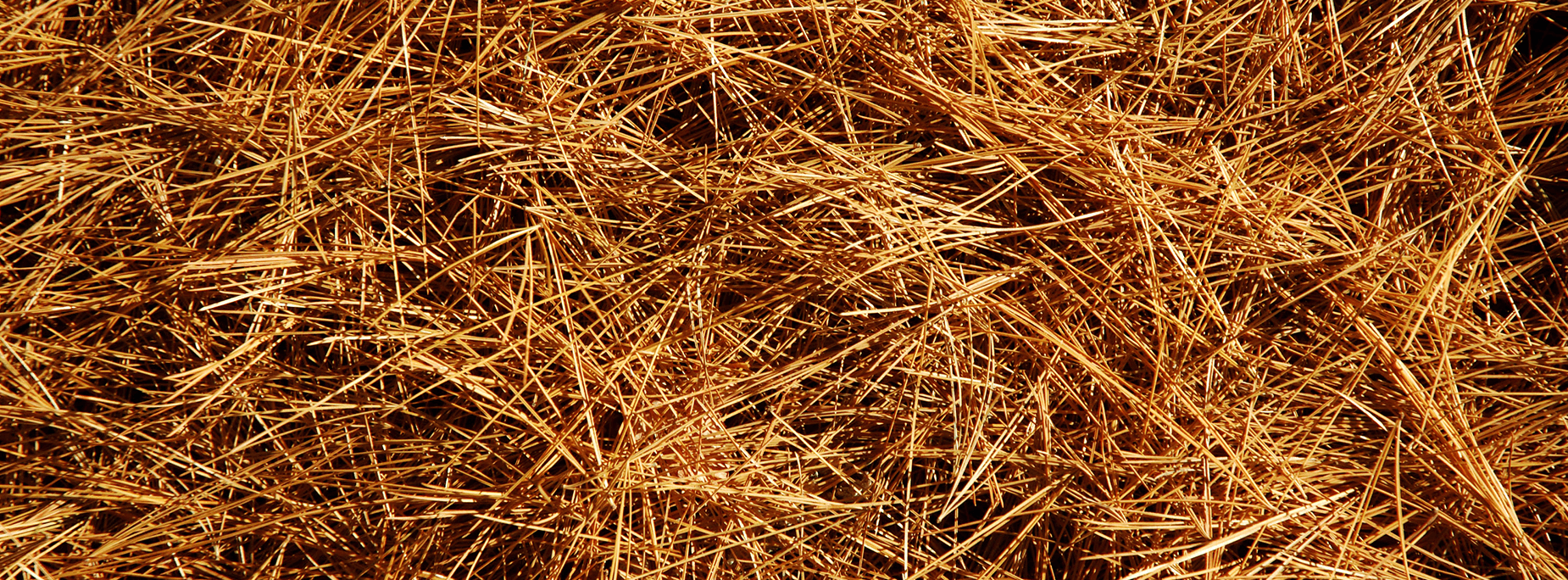 Pine Straw Pine Straw Delivery Winter Haven, FL