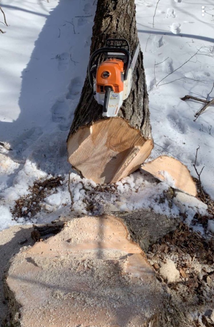 John H. Eschenberg Inc. Small Engines Callicoon, NY