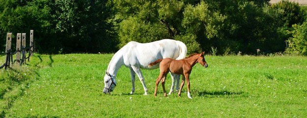 Claim Information Excalibur Insurance Agency