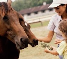 Animal Feeds - Monroeton, PA - Shaffer's Feed Service Inc