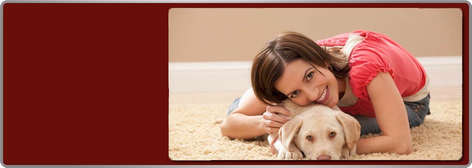 Blazer Bros Expert Rug Cleaners And Carpet Cleaner Bwood Tn Re Beauty To Your Rug Or Carpet