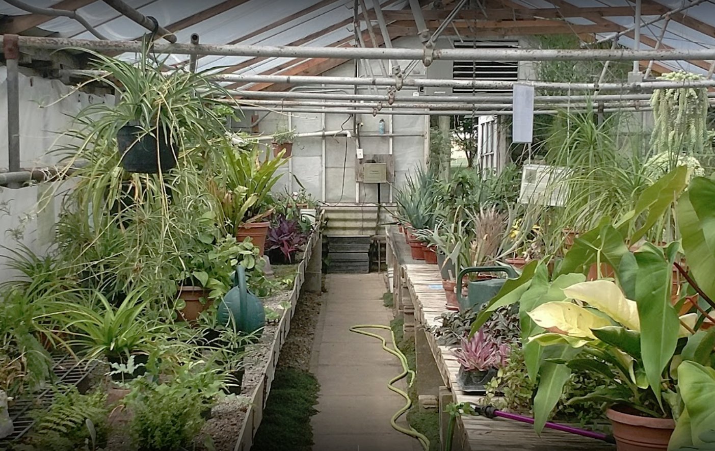 Pleasant View Nursery Garden Center & Florist Garden Center Gallery