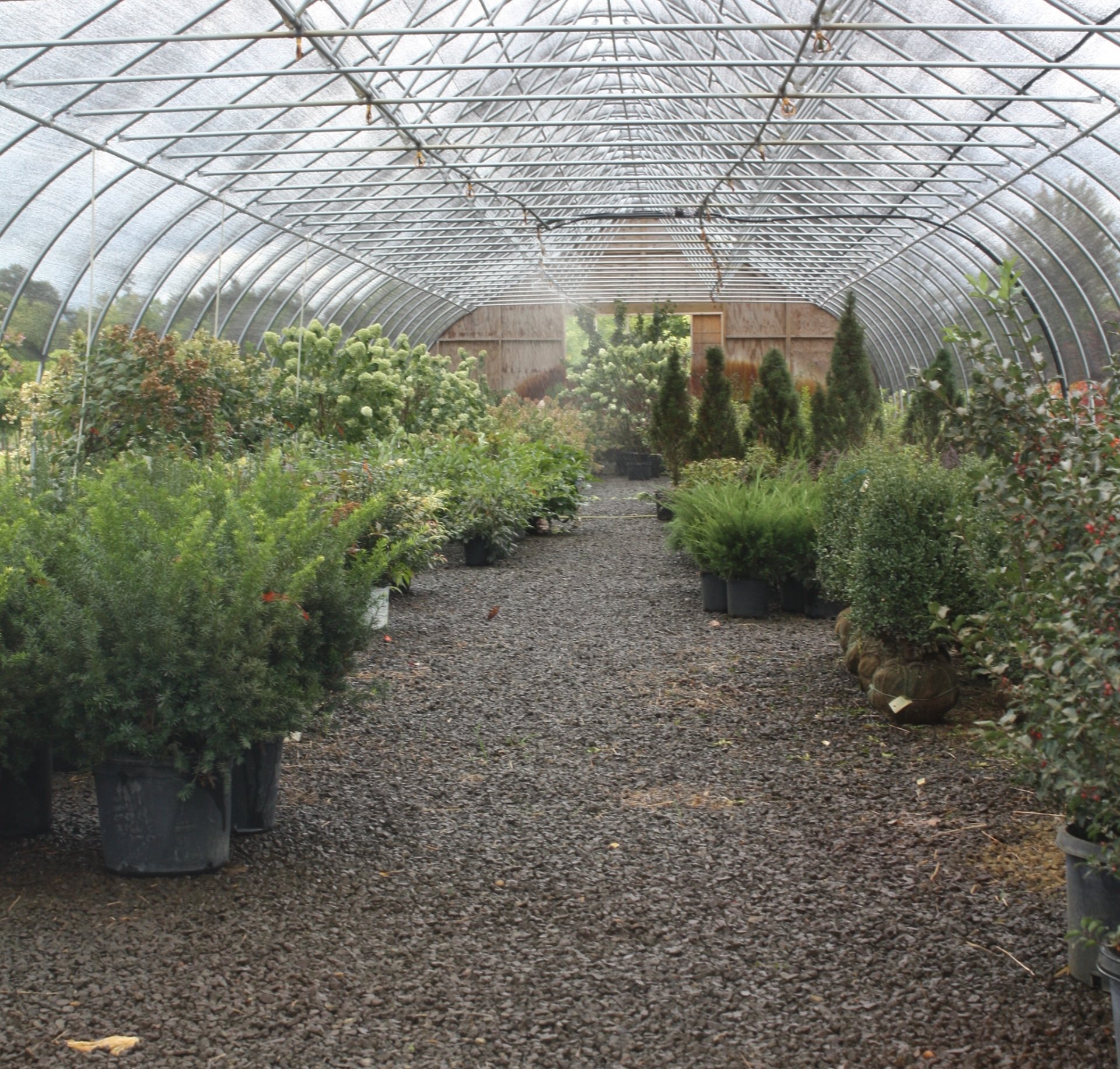 Underwood Nursery Gallery Adrian, MI