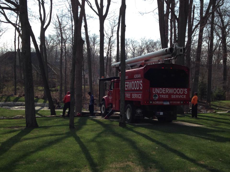 Underwood Nursery Gallery Adrian, MI