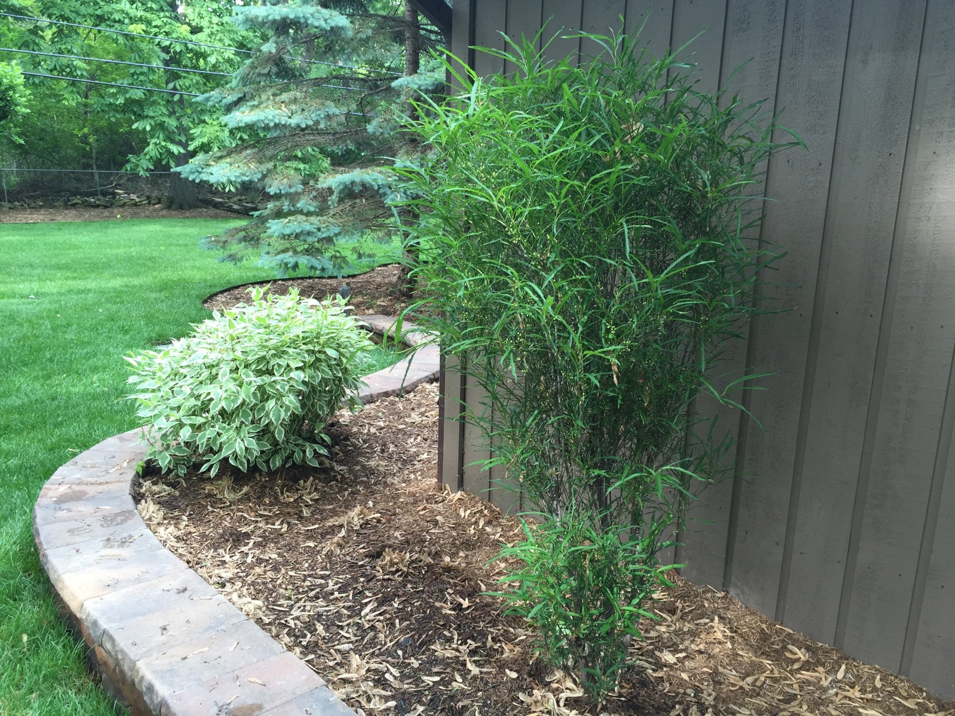 DJ's Property Maintenance Landscaping Services Brownstown MI