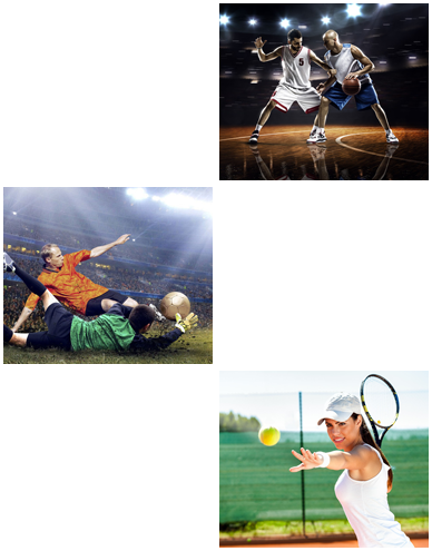 Sports 