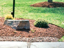 Lawn Care - Wichita, KS - Preferred Cut Lawn Service - Residential Lawn