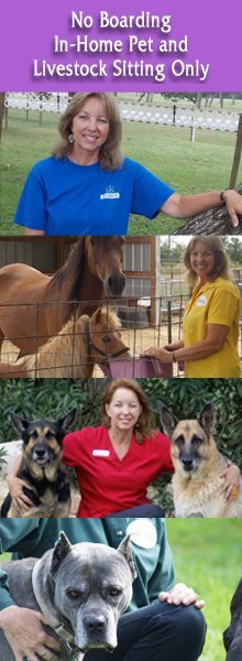 pet and livestock sitter giddings tx k k pet watch