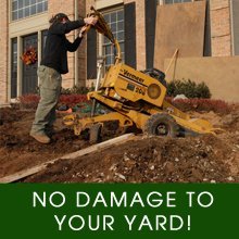 Lawn Care - Galesburg, IL - David Carlson Tree Service & Stump Removal - Grinding