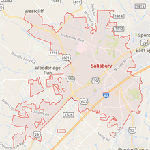 Tree Removal - Salisbury, NC - George Stirewalt Landscaping-Grading-Hauling