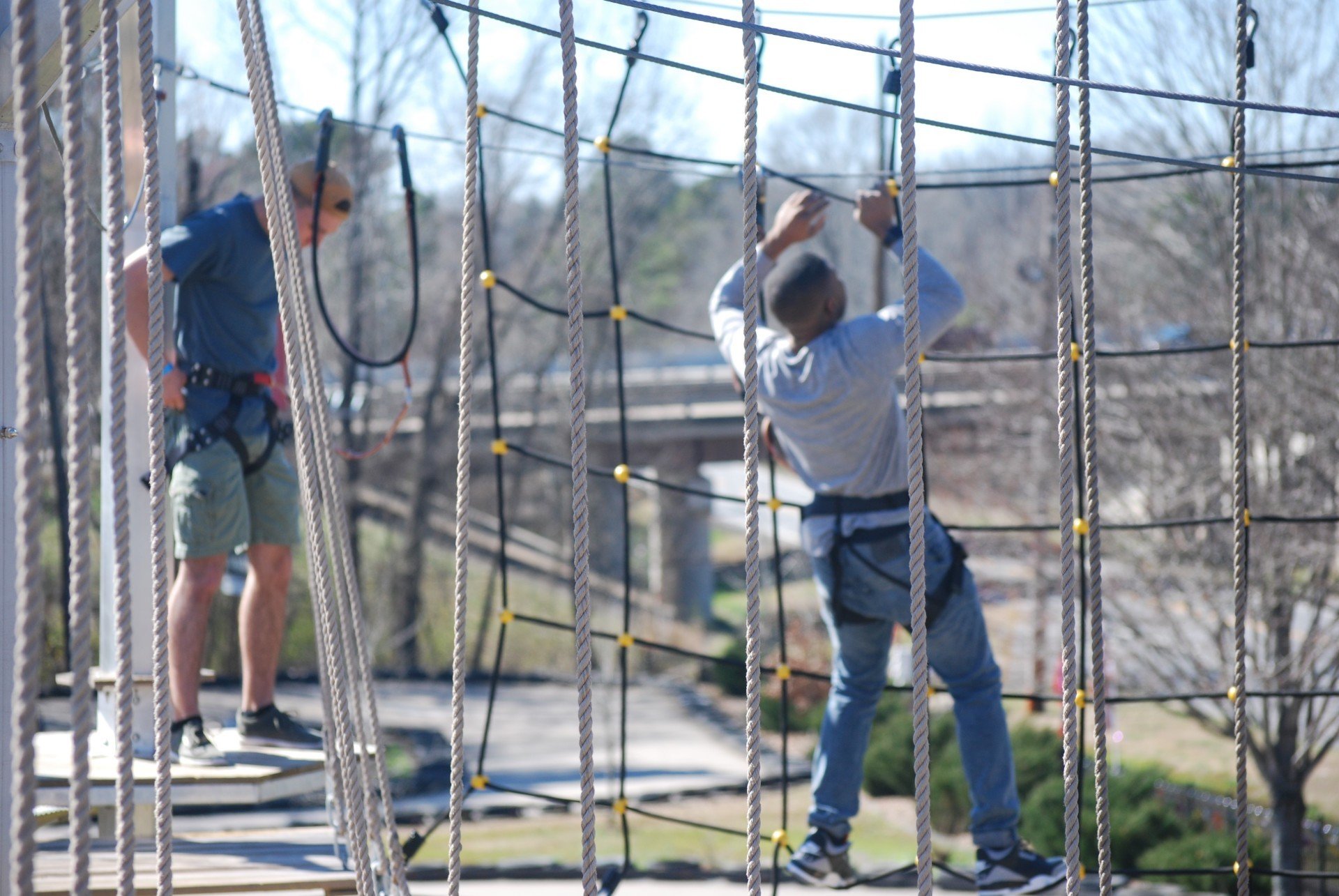Aerial Adventure | Rope Bridges | Little Rock, AR