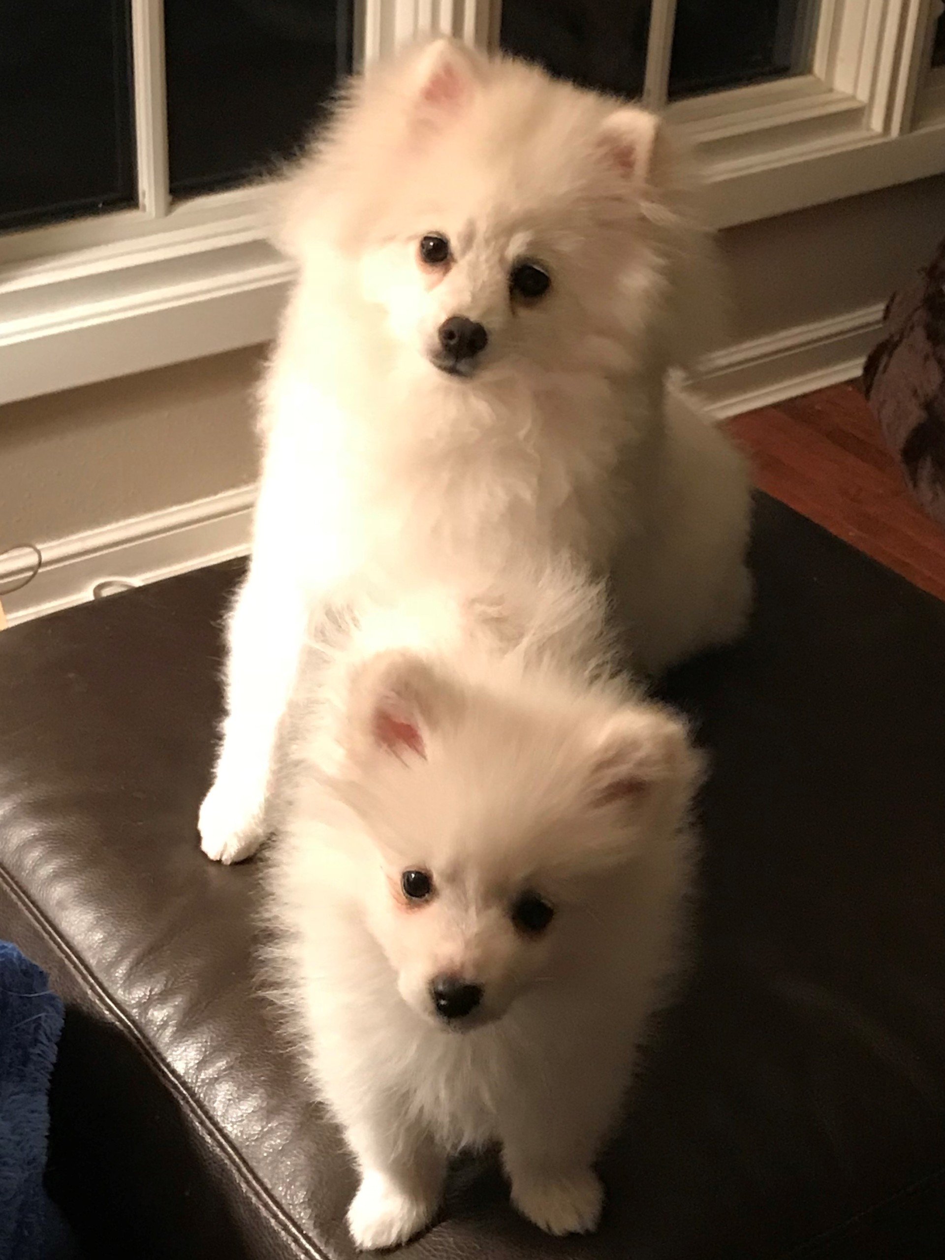 Meet Sue A Russell, PhD, Psychologist Grand Forks, ND Psychologists