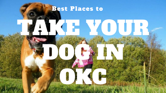 Best Places to Take Your Dog in OKC