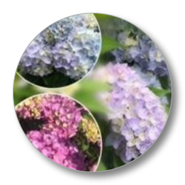 Anoka-Ramsey Farm & Garden | Farm Supplies | Ramsey, MN