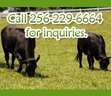 Animal Health Products - Lexington, AL - Hammond Farm Supply - Animal Health Products - Call 256-229-6664 for inquiries.