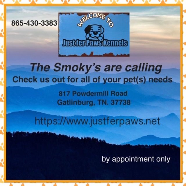 Just fer Paws Kennels Pet Day Care Gatlinburg, TN