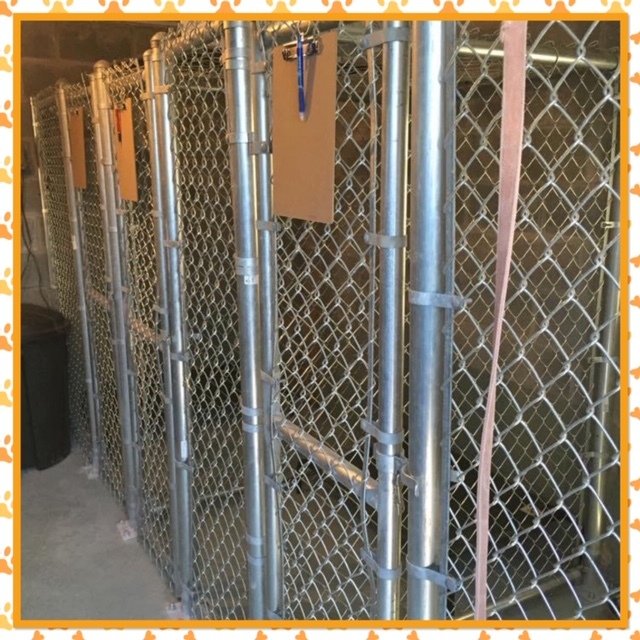 Just fer Paws Kennels Pet Day Care Gatlinburg, TN