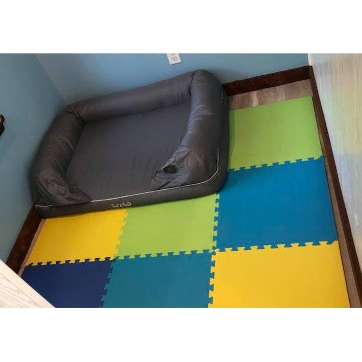 Just fer Paws Kennels Pet Day Care Gatlinburg, TN