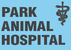 Park Animal Hospital Inc  Pet Care and Boarding  Pinellas Park, FL