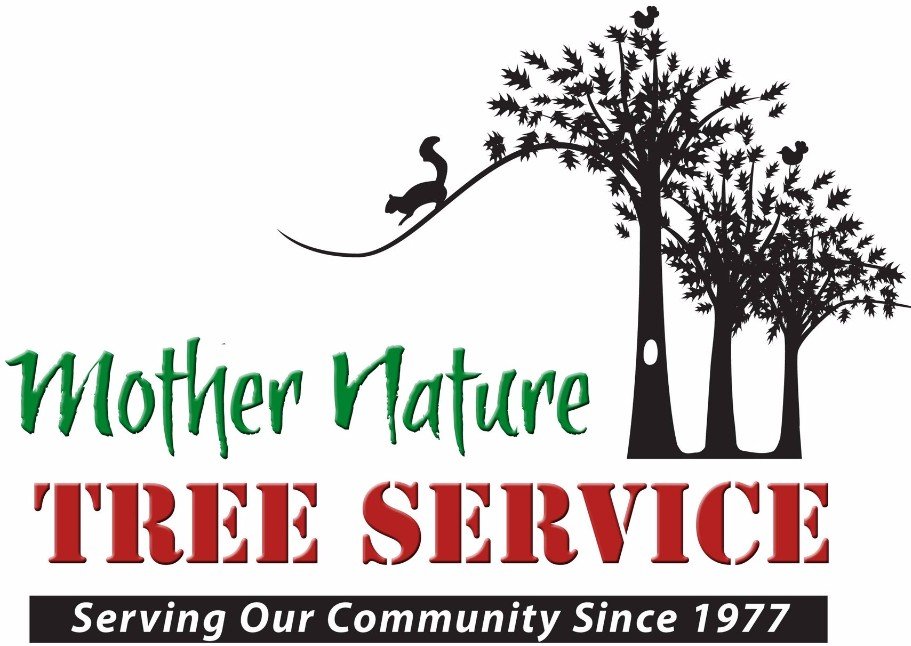 Mother Nature Tree Service Arborist Berryville, VA