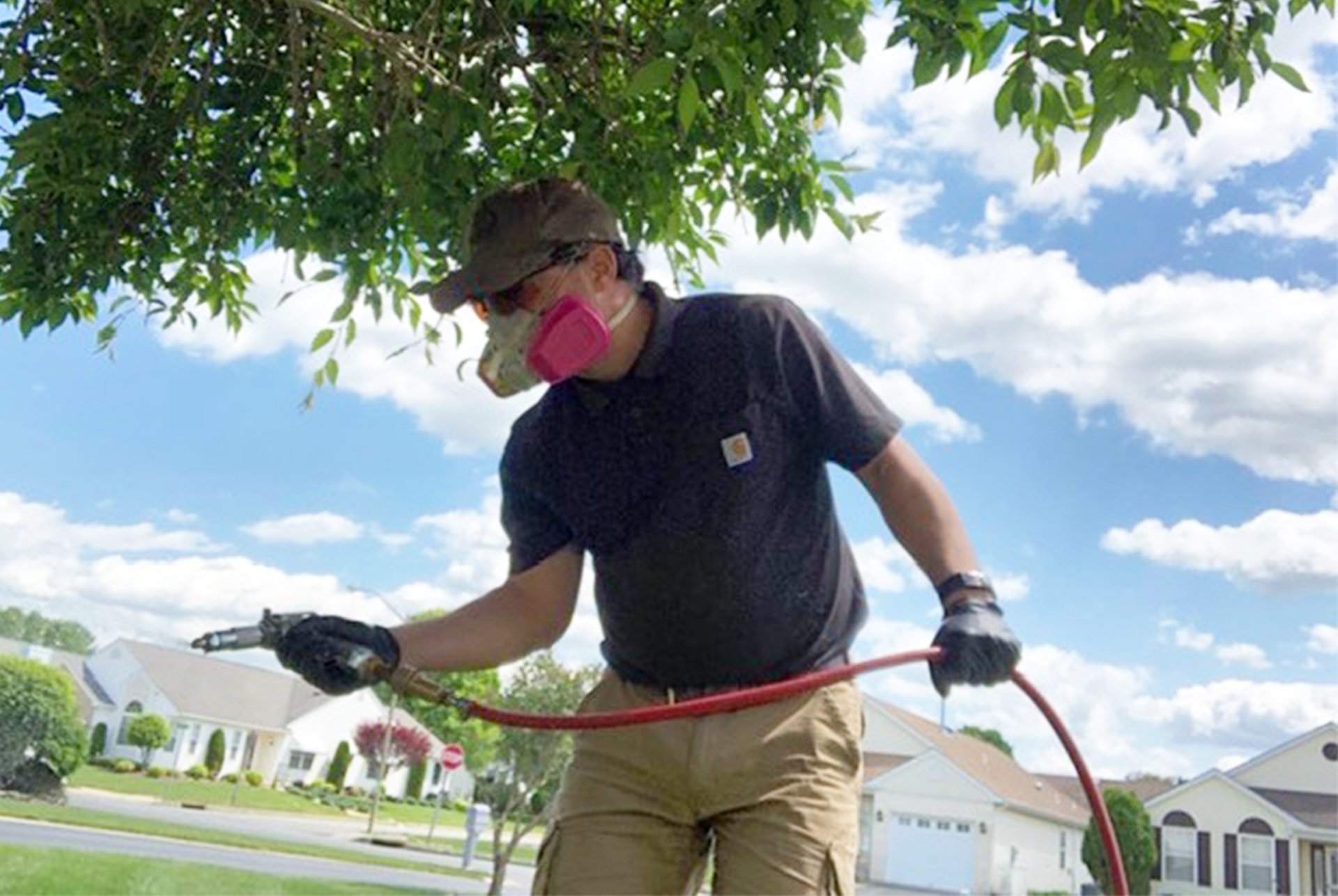 United Termite & Pest Control LLC Manchester, NJ