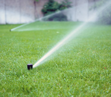Sprinkler