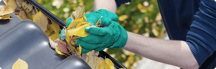 gutter cleaning