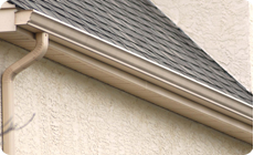 Gutter