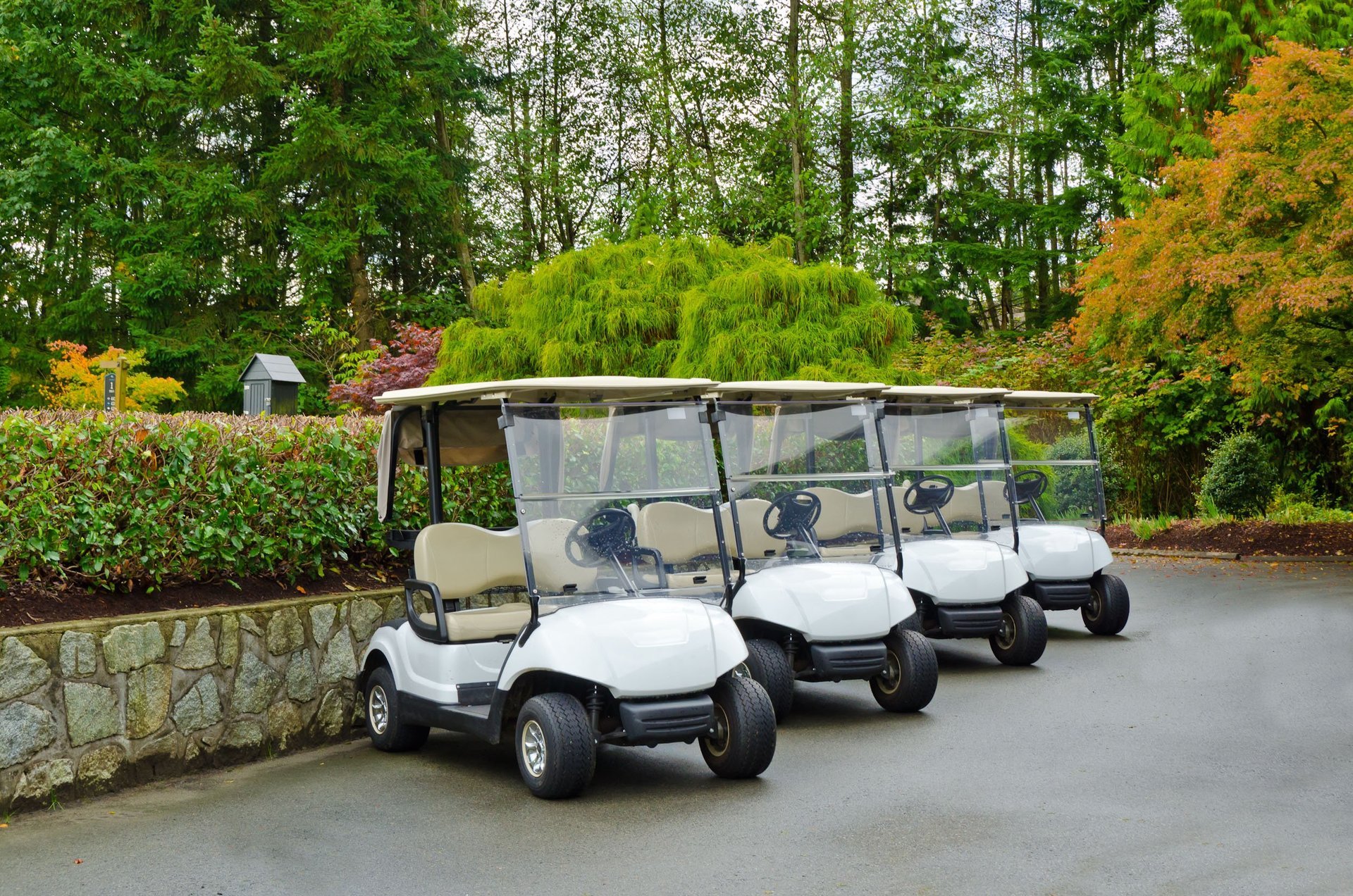 Motorsport Items Golf Carts Cambridge, MN