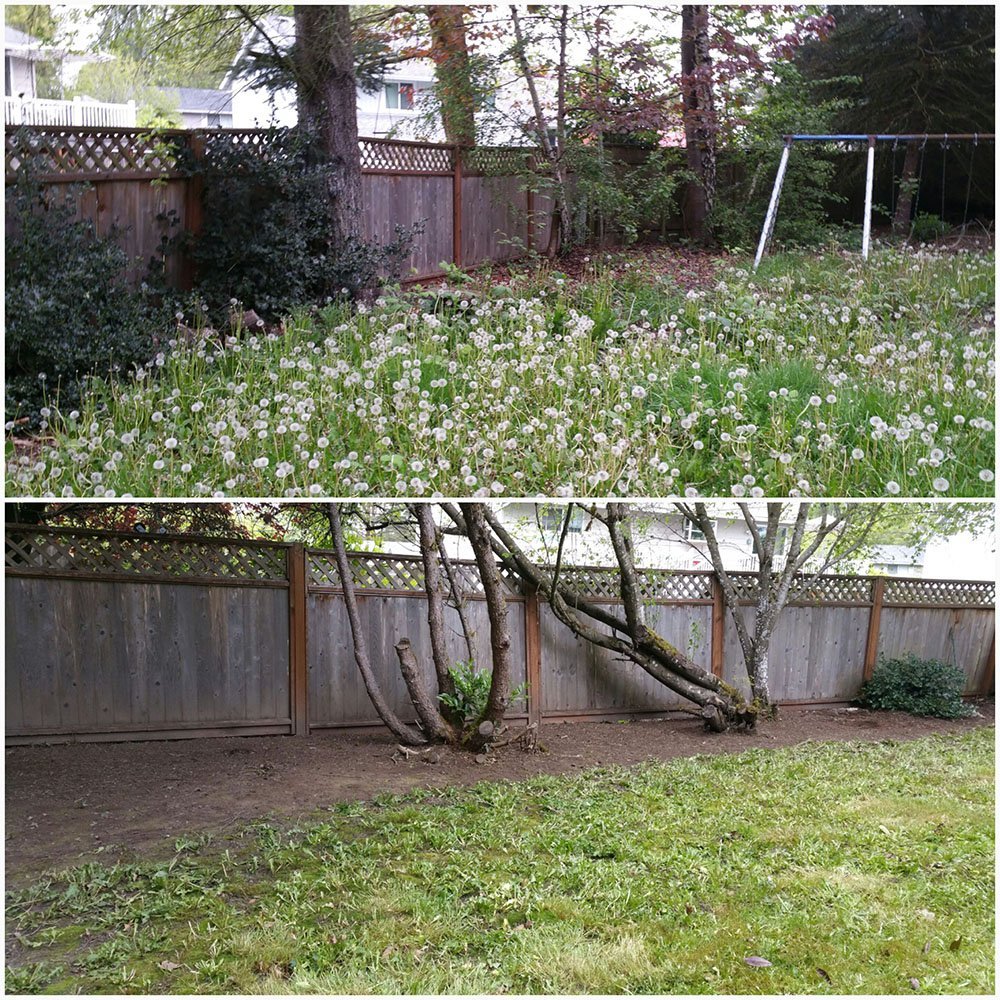 D&J Landscape Services & Maintenance | Beaverton, OR