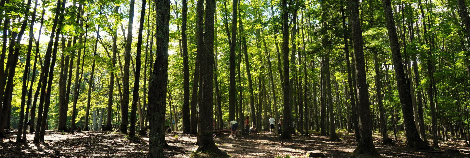 Woodland School Traverse City Michigan Woodland School Traverse City Michigan