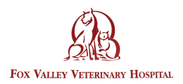 Fox Valley Veterinary Hospital | Veterinary Services Ottawa