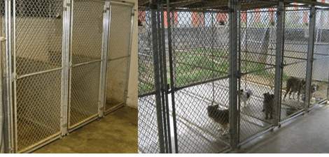 about blount veterinary clinic maryville tn veterinary animal works maryville tn
