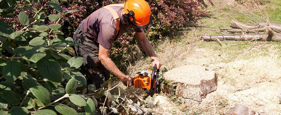 jarvis tree service inc