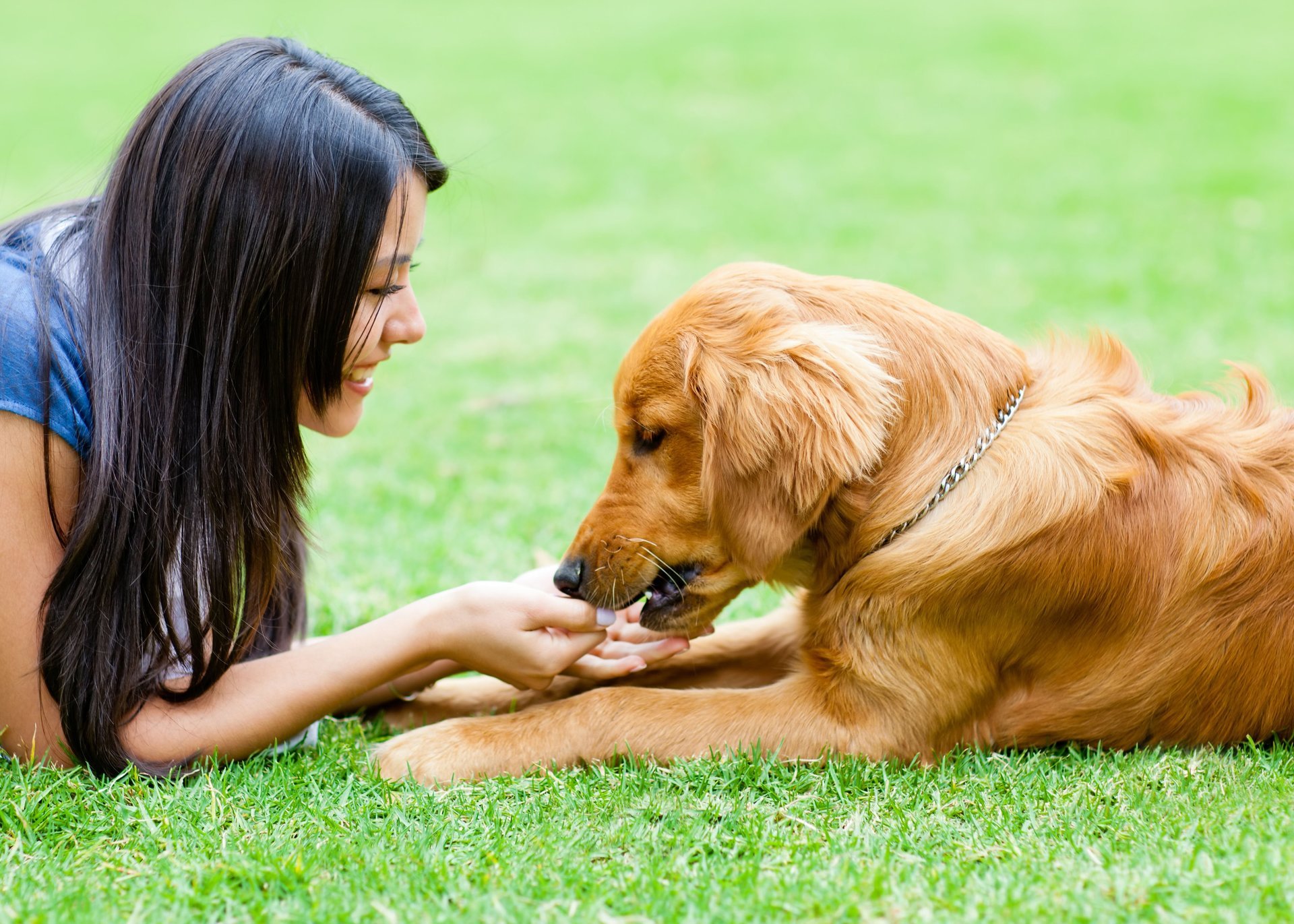 Pet Care Services In Home Pet Sitting Services Fort Wayne