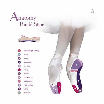 pointe-shoes