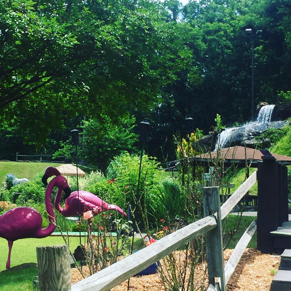 About Tropical Gardens Mini Golf Asheville, NC Fun Center