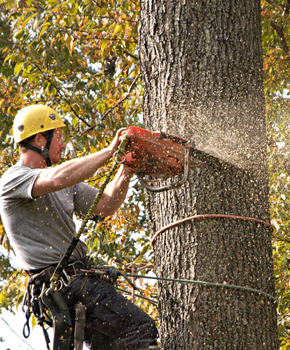 dating websites pittsburgh pa dating websites pittsburgh pa