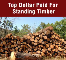 Logging Company - Fulton, NY - JB Logging And Firewood