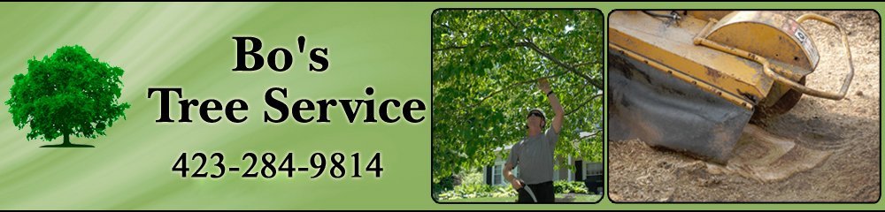 tree service cleveland landscaping tree service cleveland tn bos tree service cleveland landscaping tree service cleveland tn bos