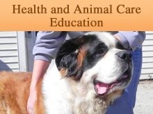 Dog Adoption - Rochester, MN - Paws & Claws Humane Society