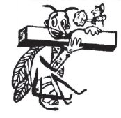 Exterminator Galesburg, IL - Galesburg Termite & Pest Control