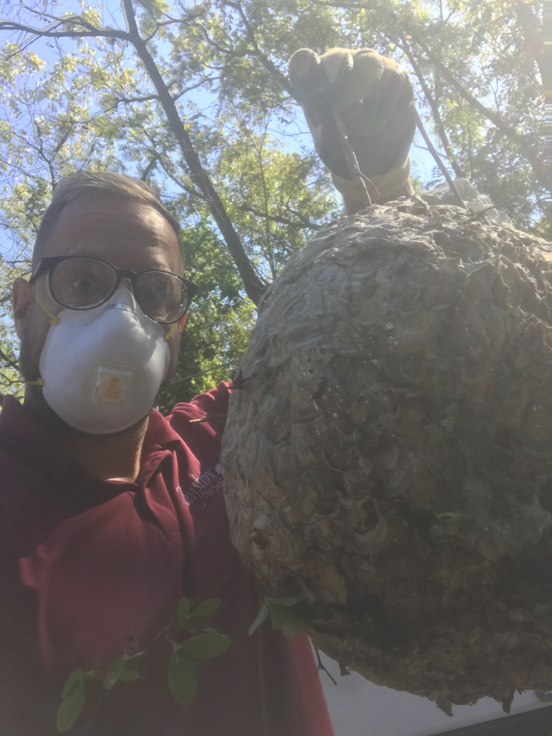 About Keystone Pest Control Reading, PA Pest Treatment