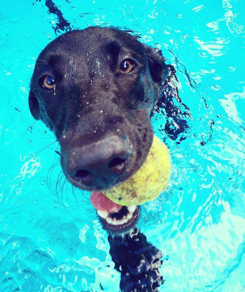 Hickory Fireplace & Patio Home Furnishings Hickory, NC