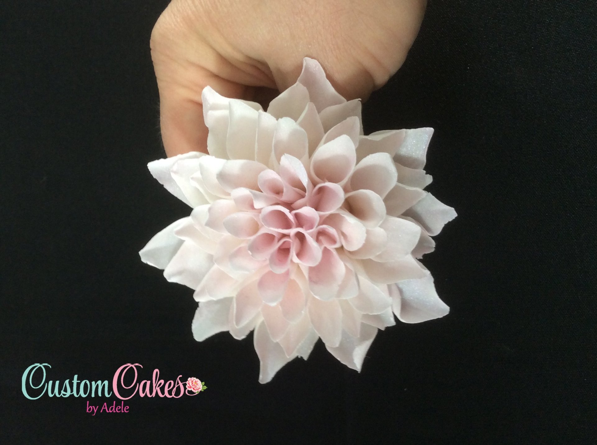 Sugar Art Decorative Sugar Flowers Whitehall, PA