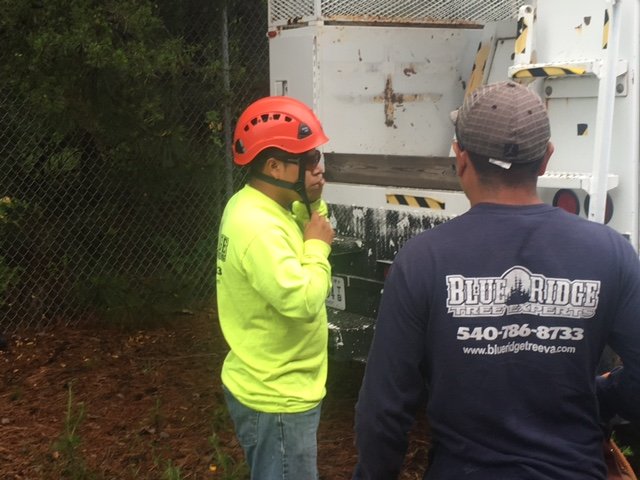 Blue Ridge Tree Man Blue Ridge Tree Experts Gallery | Spotsylvania, VA