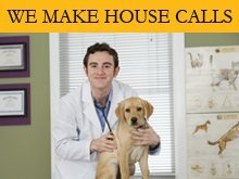 Pet Hospital - Somerdale, NJ - Animal Hospital Of Somerdale